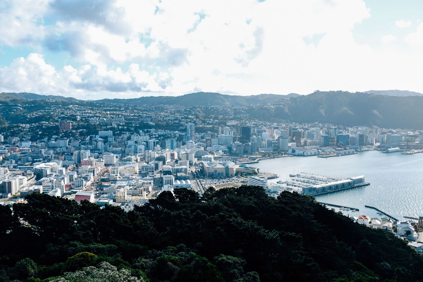 Wellington vanaf Mount Victoria