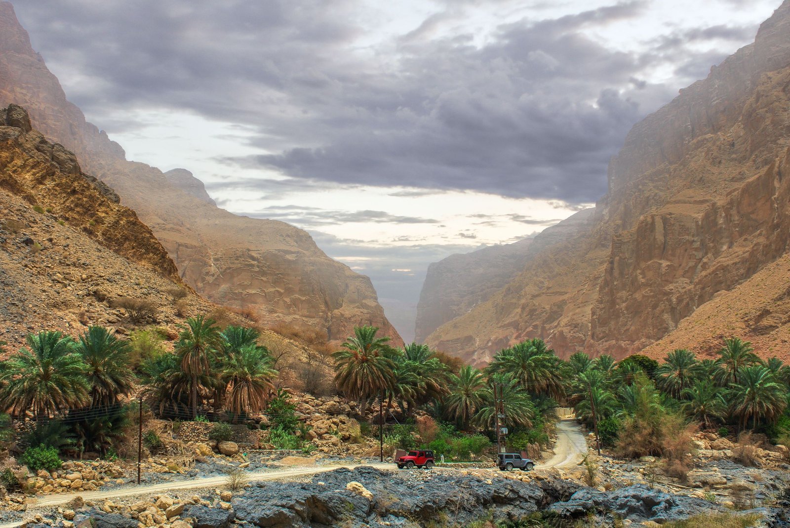 Wadi met palmen in het gouvernement Muscat
