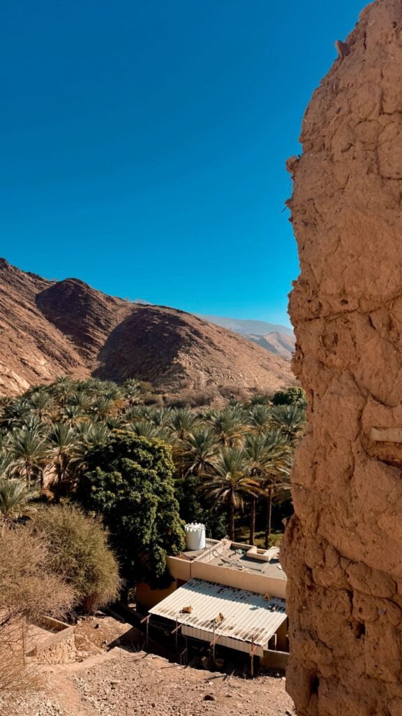 Palmen in een wadi tussen de rotsen