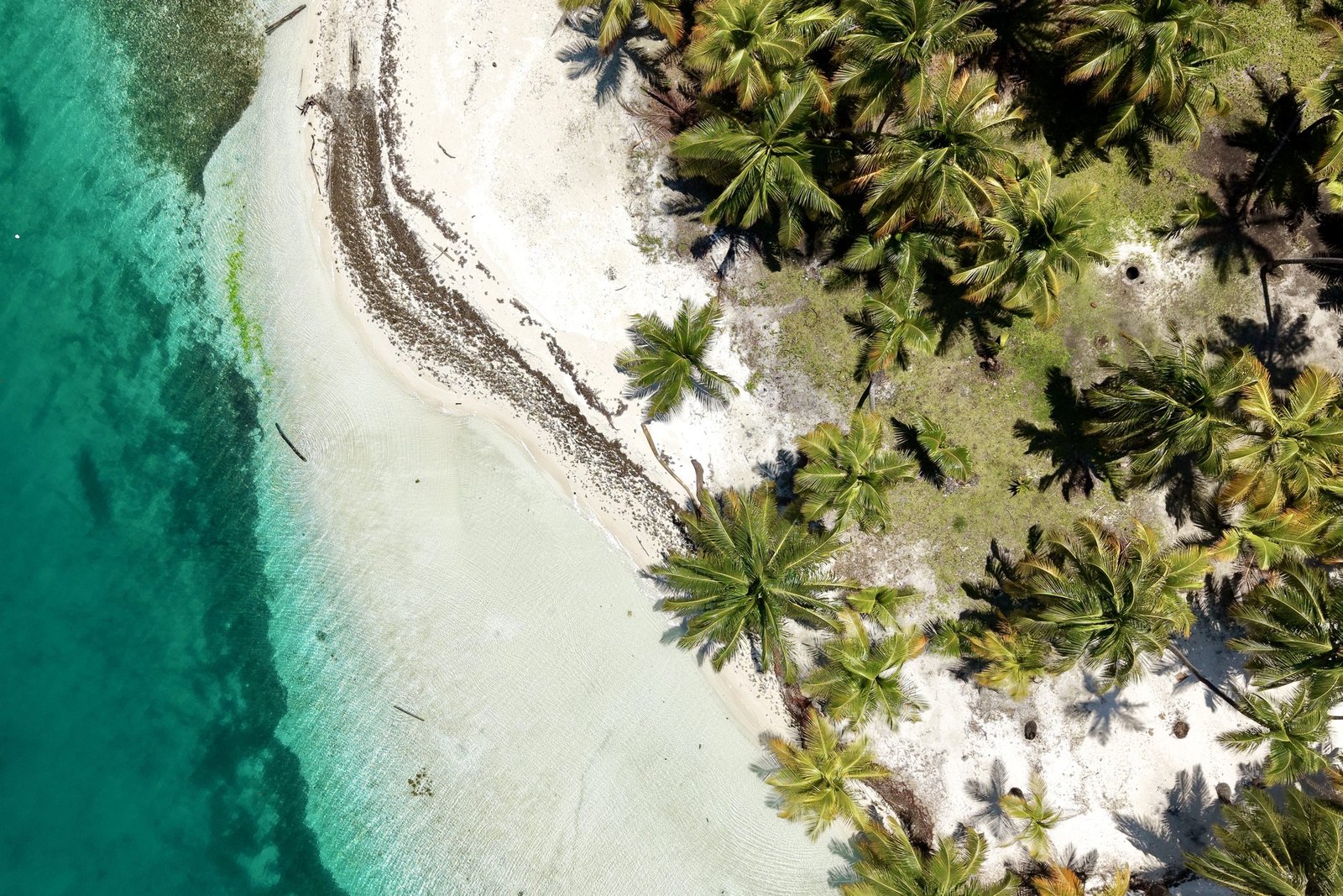 Wit strand met palmen in San Blas van bovenaf