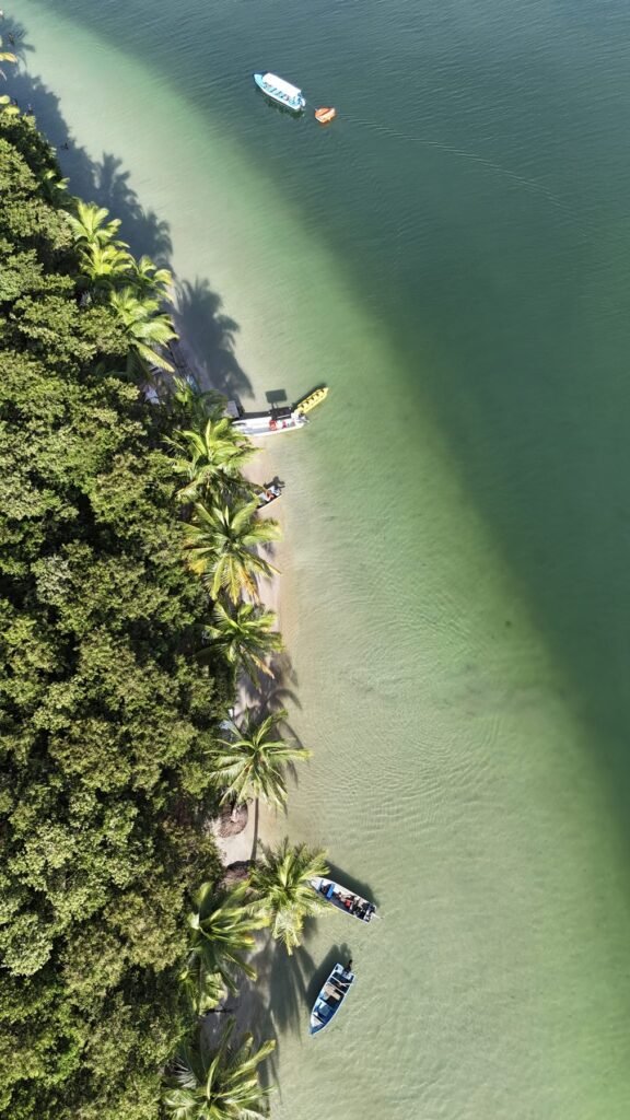 Wit zandstrand met palmen op Cayo Zapatilla