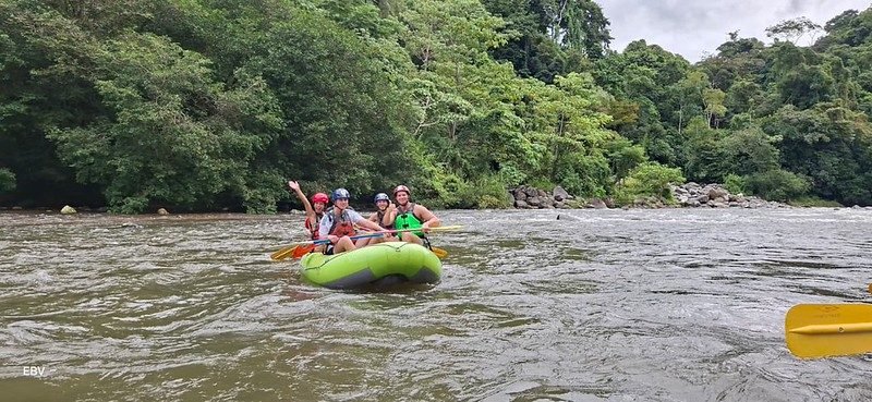 Stroomversnellingen in een rivier door tropisch bos