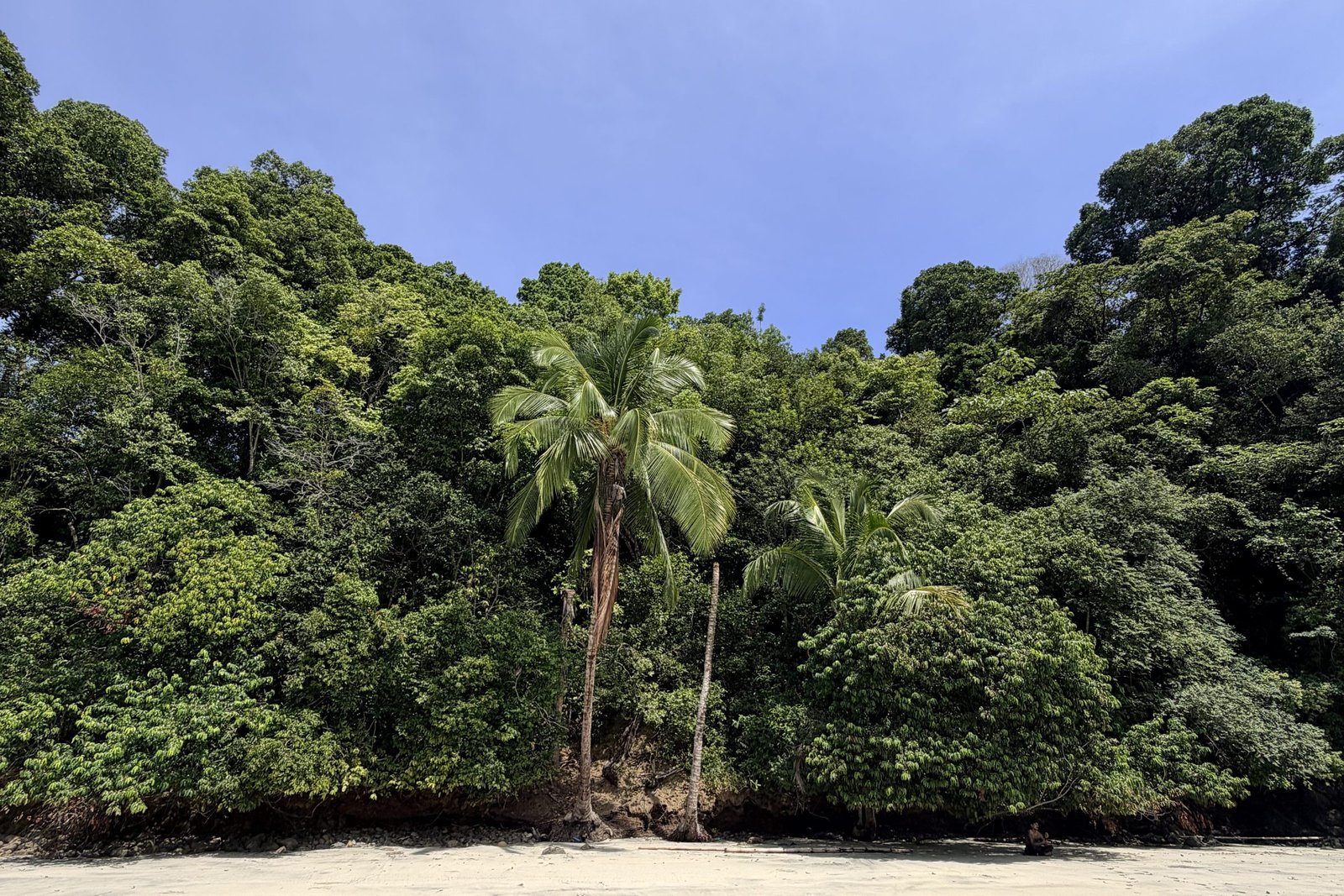 Beboste eilandkust in Coiba National Park