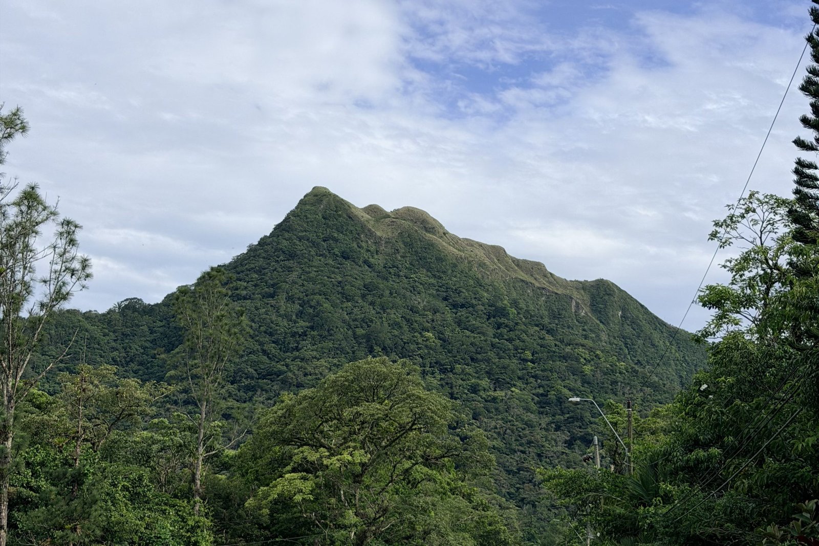 De groene kraterheuvels van El Valle de Antón