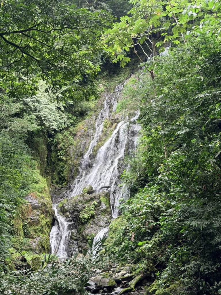 Waterval Chorro El Macho in het bos bij El Valle