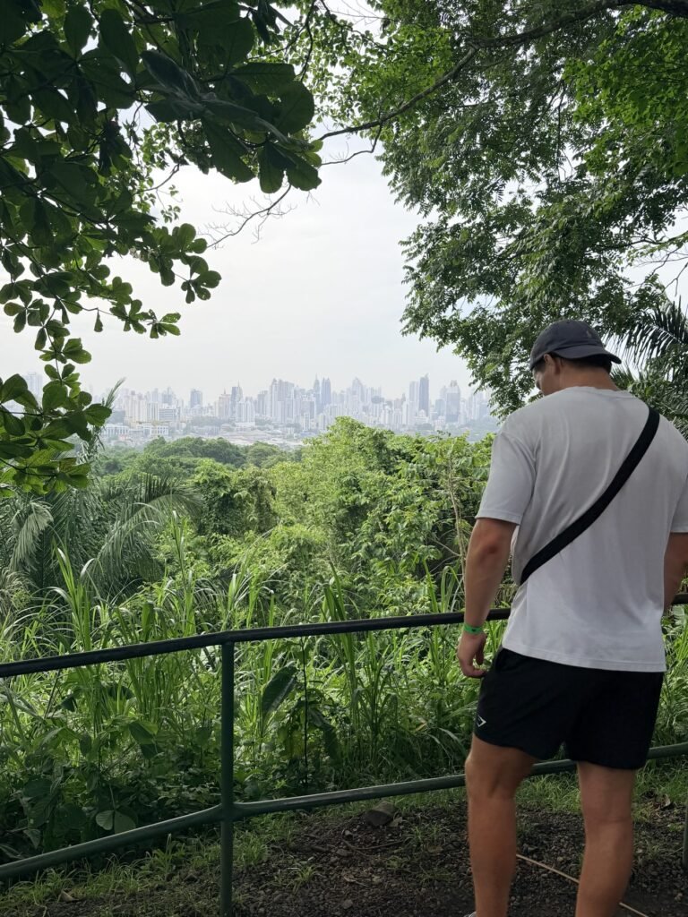 Regenwoud met laaghangende wolken in Panama