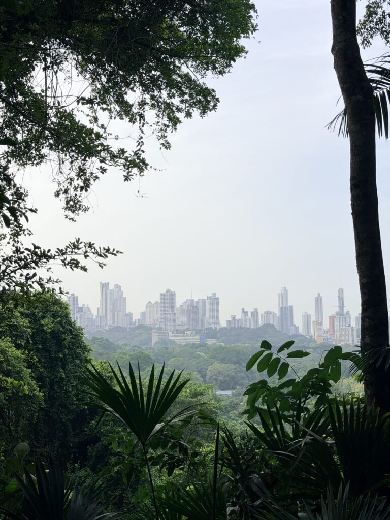 Skyline van Panama City gezien vanaf een beboste heuvel
