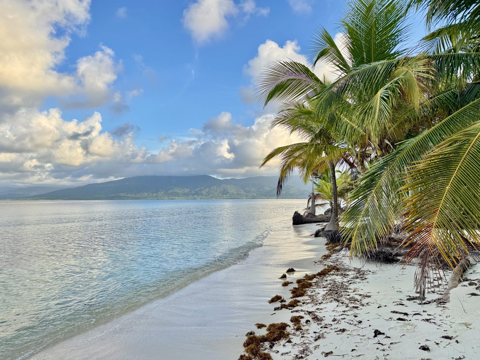 Wit strand met palmen in San Blas