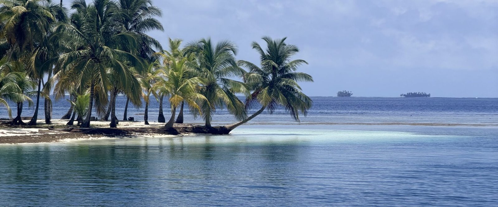 Eiland met palmen en helder water in San Blas