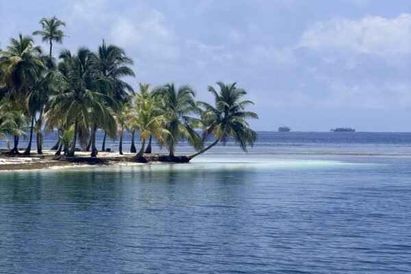 Eiland met palmen en helder water in San Blas