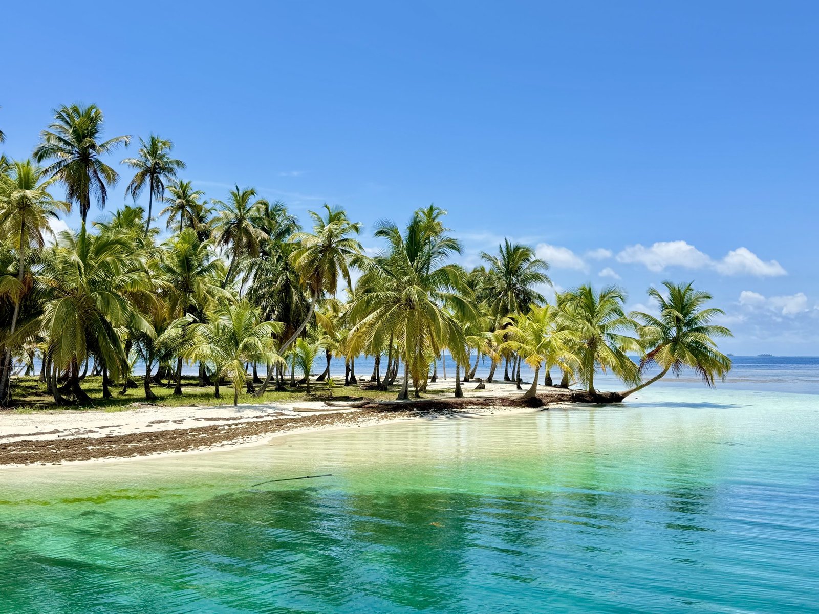Palmeilanden en helder water in San Blas