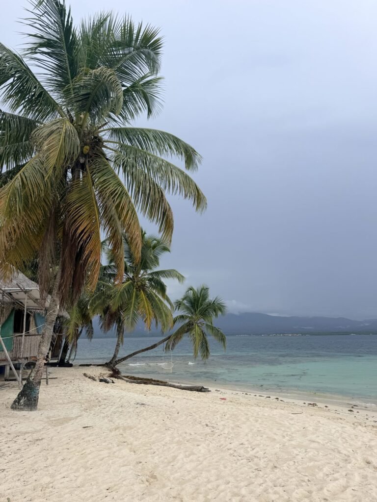 Lege hangmat tussen palmbomen op een wit strand