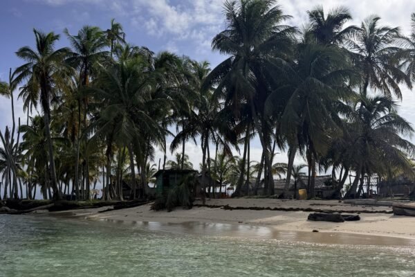 Palmen op een eiland in San Blas
