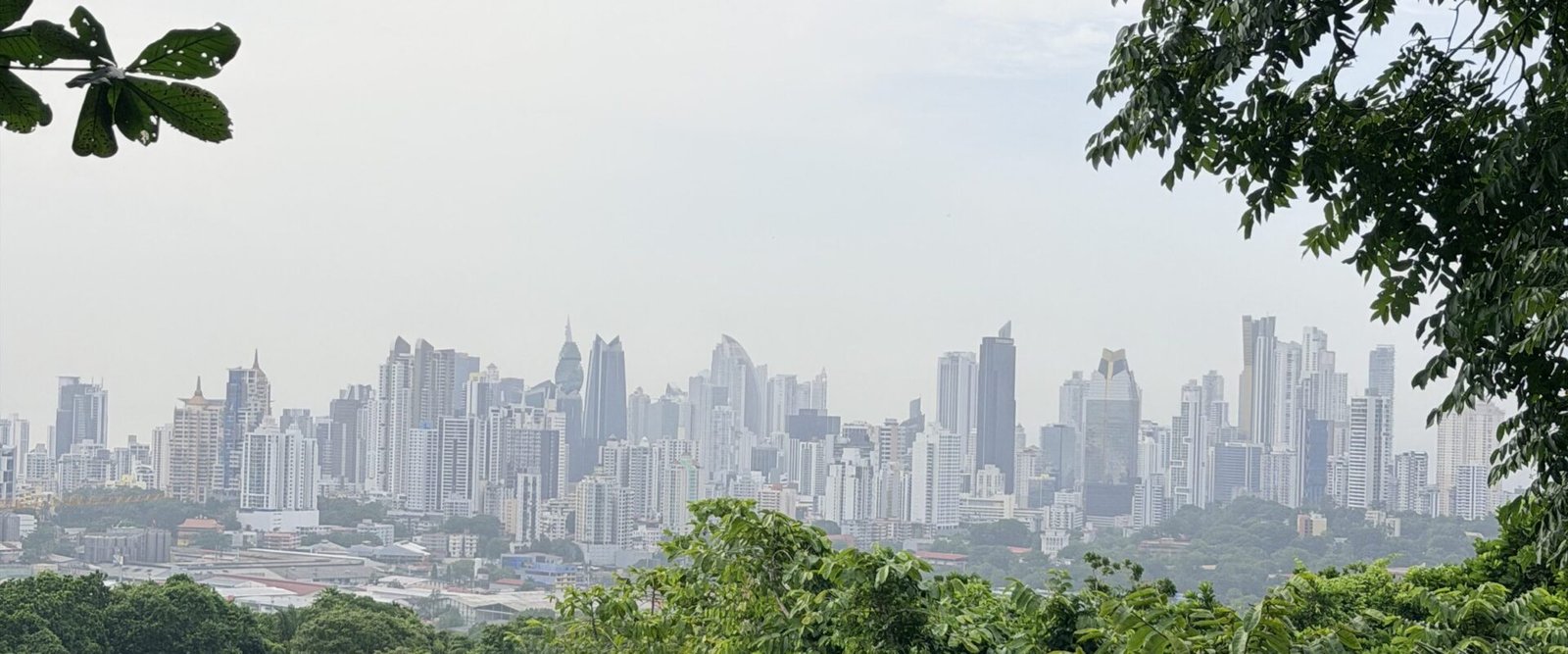 Uitzicht op de skyline van Panama City vanuit het Metropolitano-park