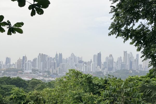 Uitzicht op de skyline van Panama City vanuit het Metropolitano-park