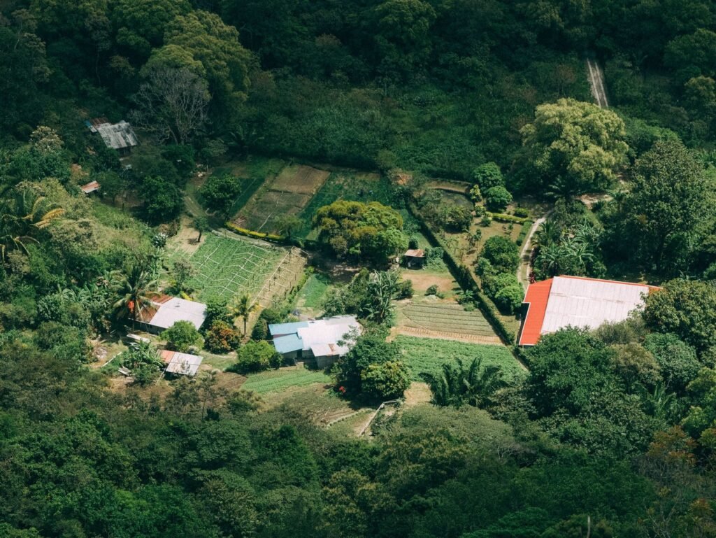 Dicht tropisch regenwoud met een rivier, gezien vanuit de lucht