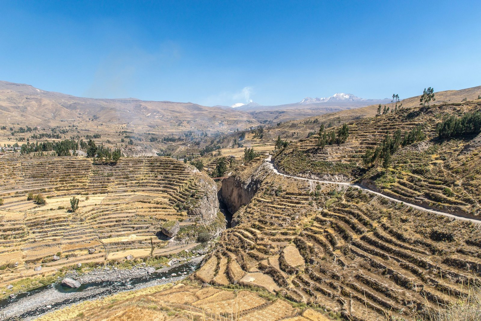 Inca-terrassen langs de Colca Canyon