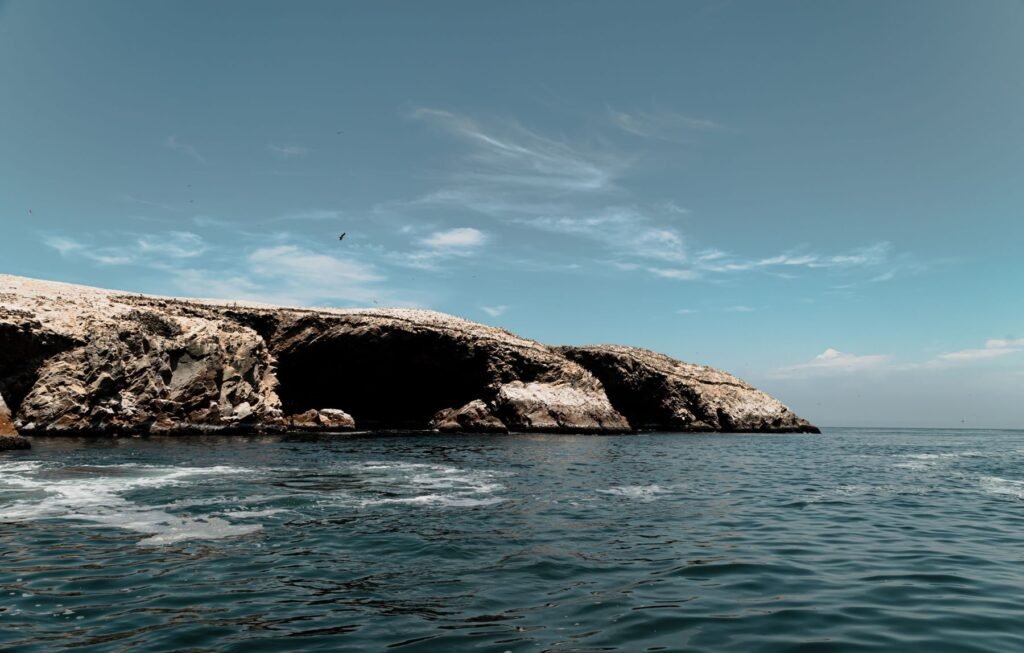 Humboldtpinguïns op een rotseiland voor de kust van Peru