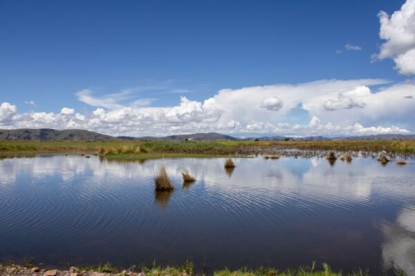 Hooglandmeer in de Andes onder een blauwe lucht