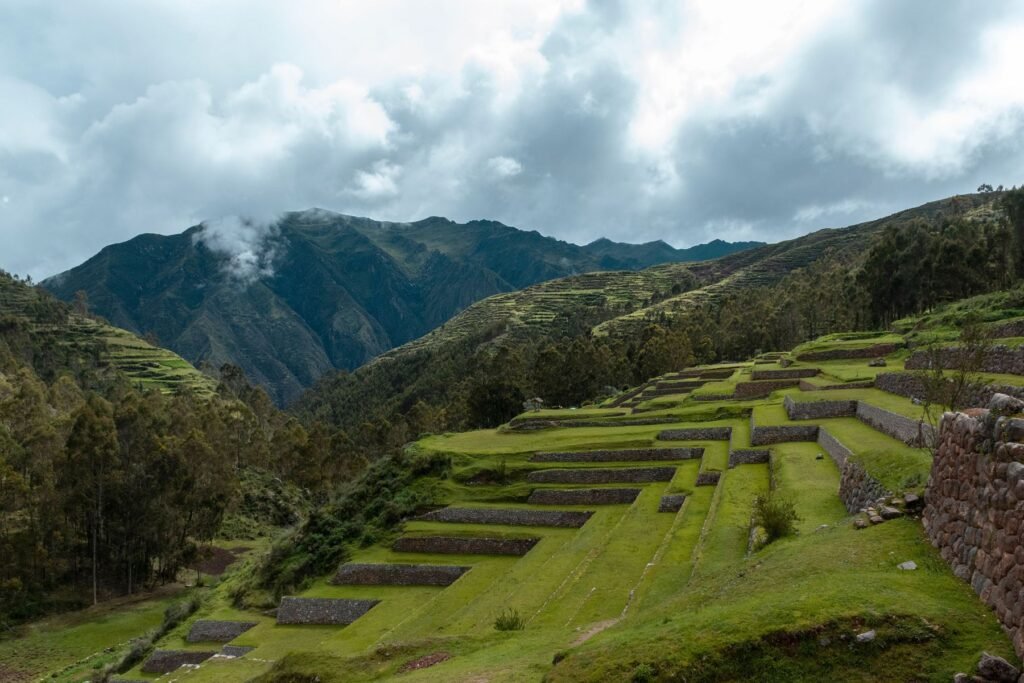Regenwoud langs een rivier in de Peruaanse Amazone bij Tambopata
