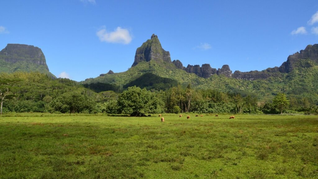 De Mount Tohivea tussen het groen op Moorea