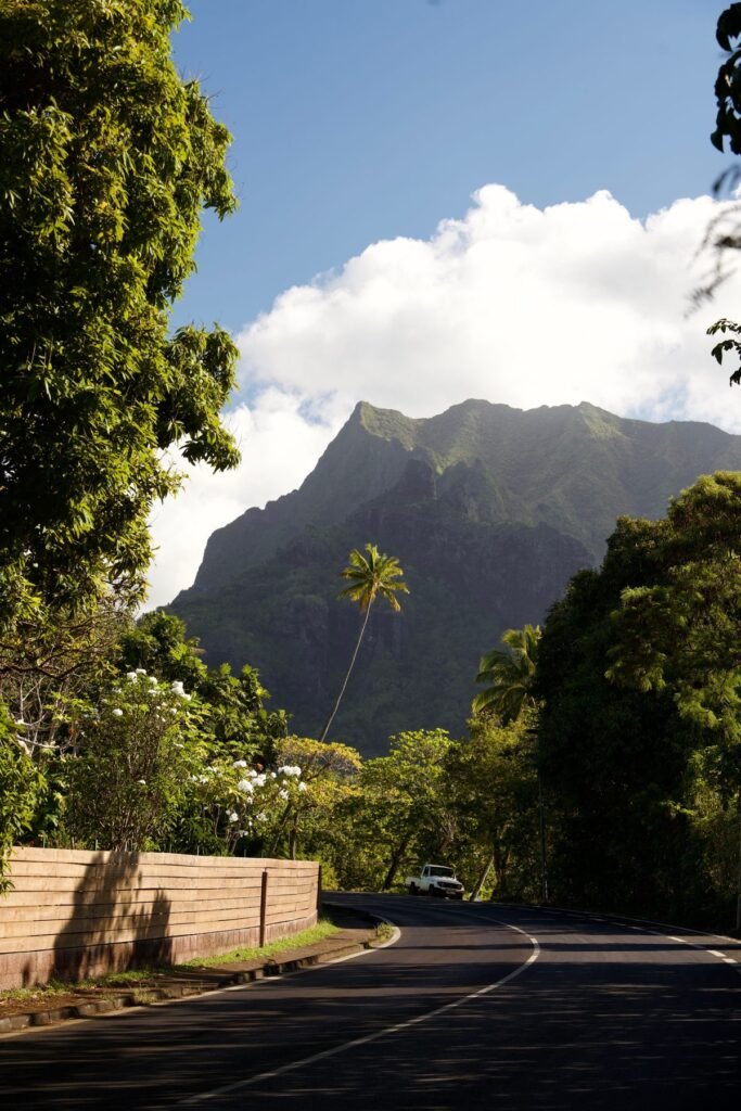 Weg met bomen en uitzicht op de bergen van Moorea