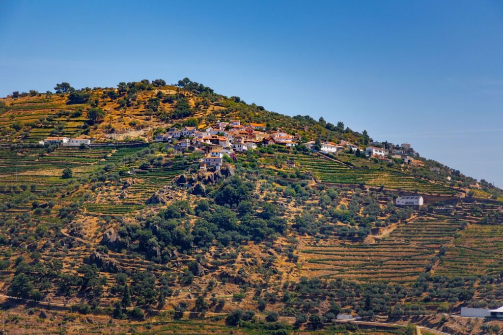 Wijnterrassen in de Douro-vallei