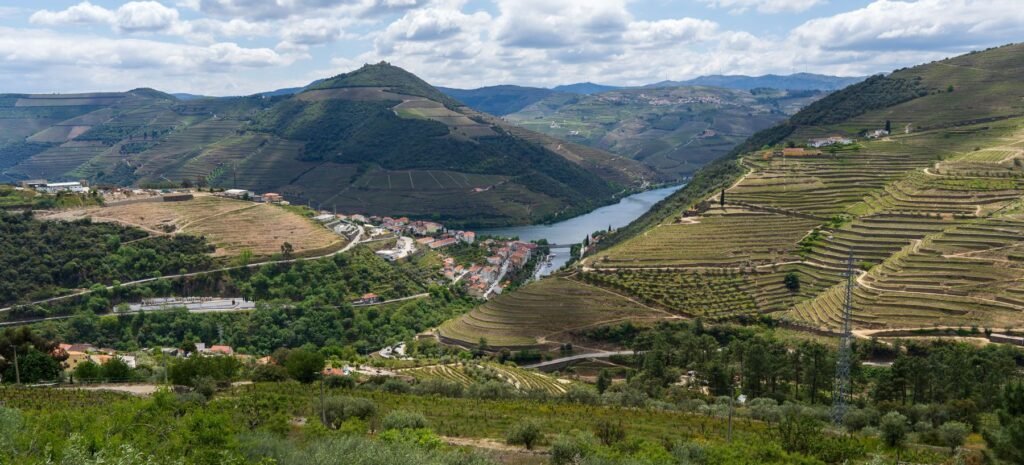 Heuvels langs de Douro