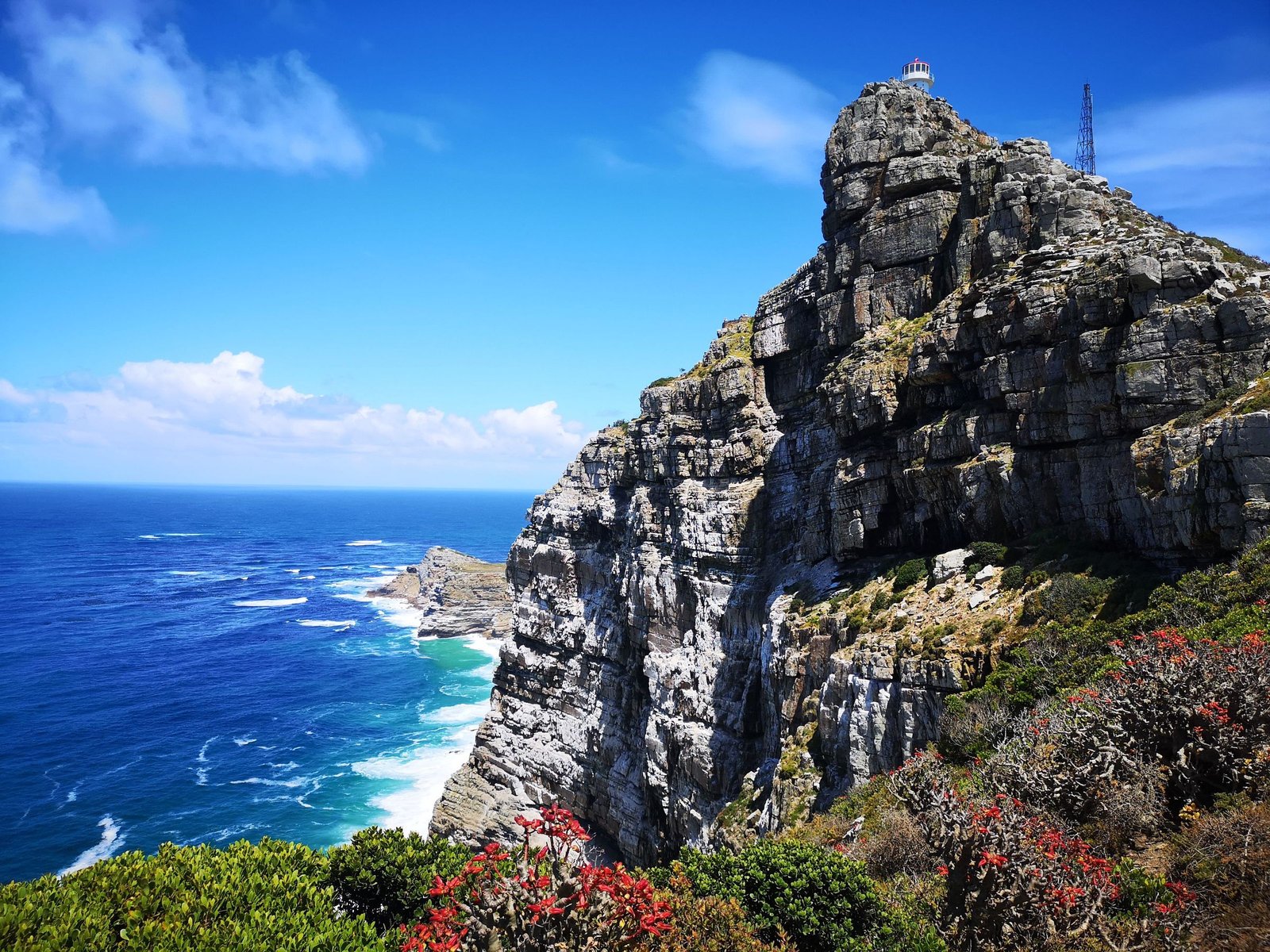 Kliffen van Cape Point met fynbos