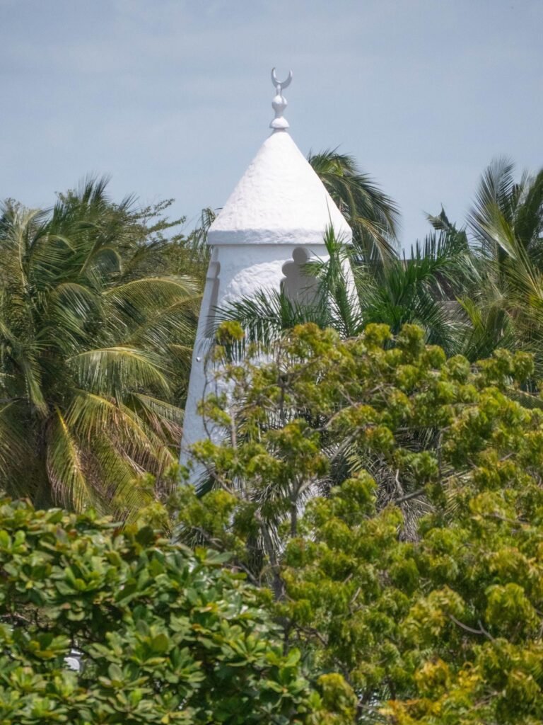 Witte minaret tussen de palmbomen op Zanzibar