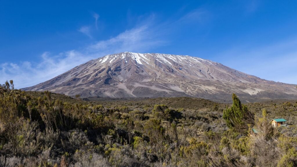 De Kilimanjaro boven de heidevegetatie op de hellingen