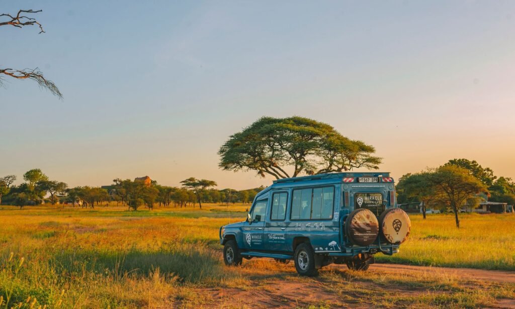 Safariauto onder een acacia bij zonsondergang