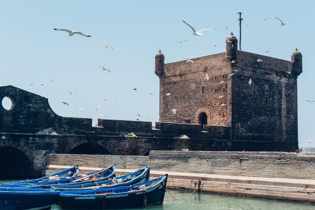 Fort en meeuwen in de haven van Essaouira