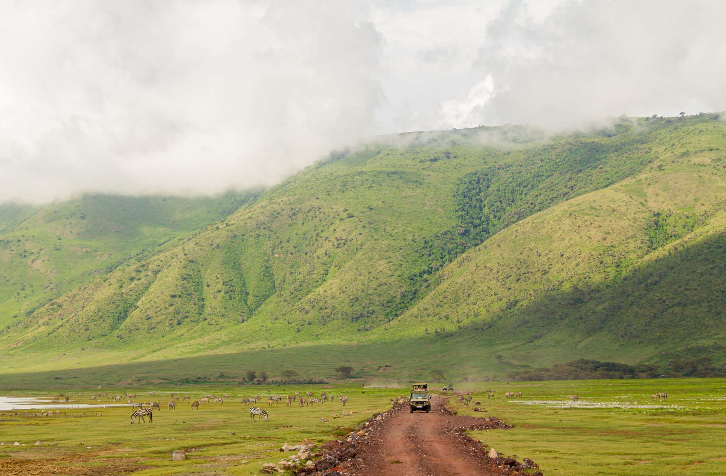 Weg naar de bodem van de Ngorongoro-krater