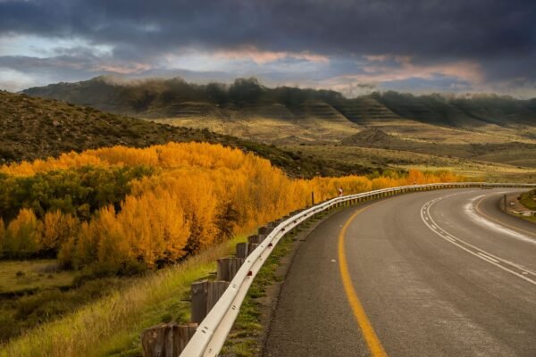 Bochtige weg door het landschap van Zuid-Afrika