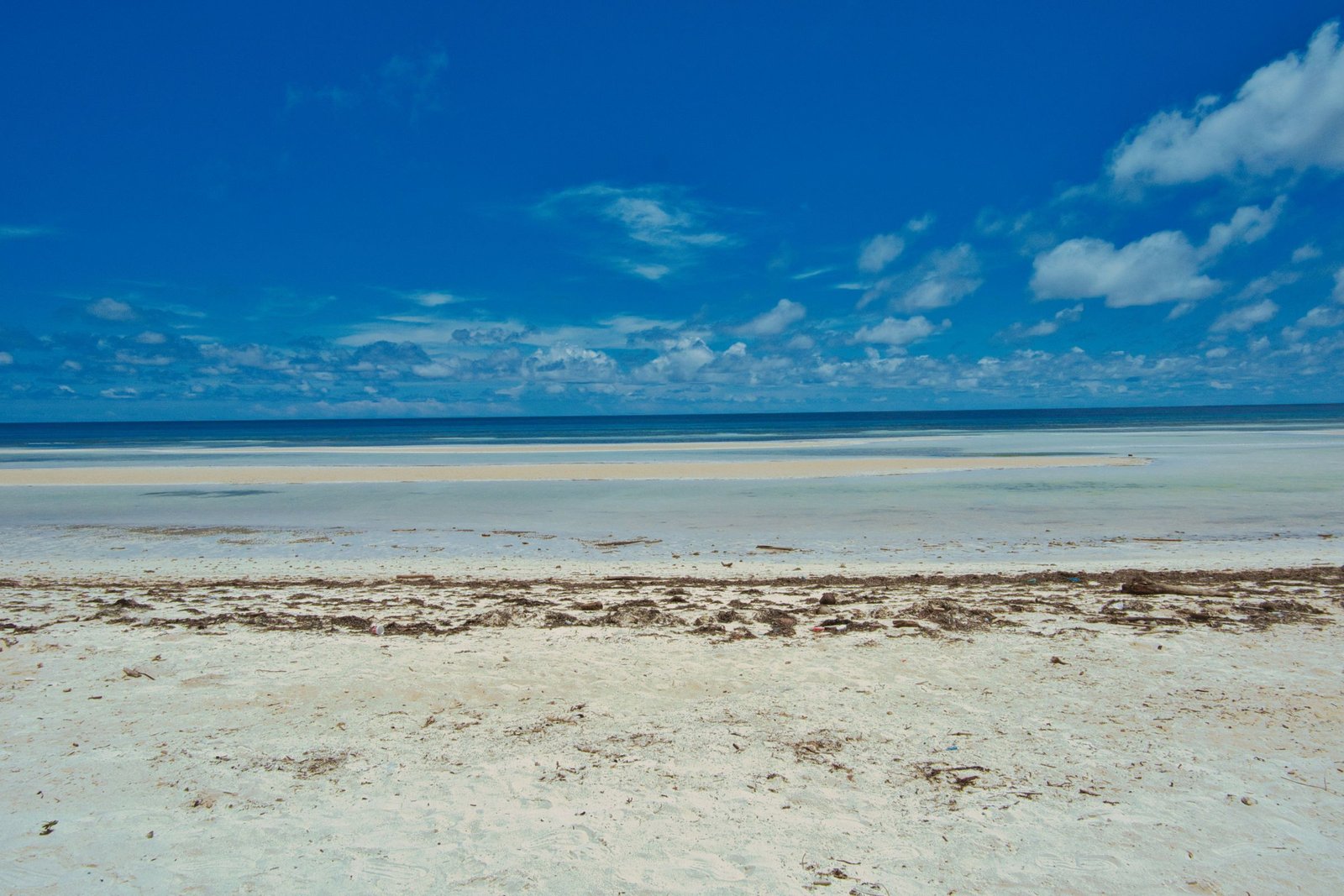 Strand met zeewier bij eb aan de oostkust van Zanzibar
