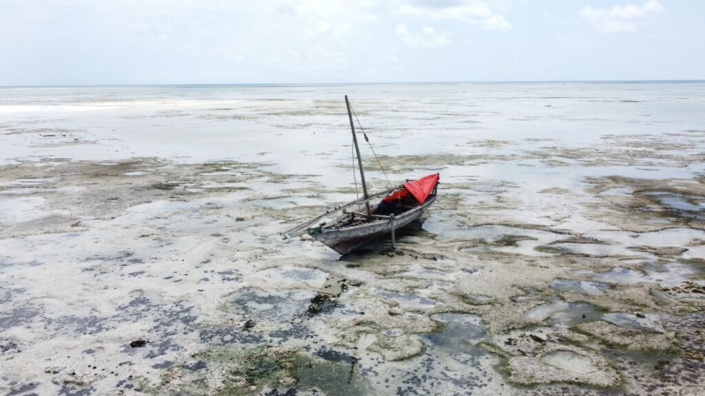 Bootje op de drooggevallen zeebodem bij eb aan de oostkust van Zanzibar