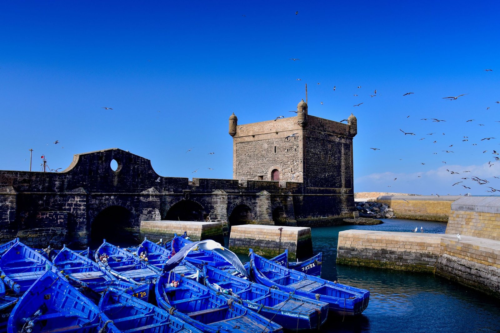 Blauwe vissersboten voor het fort van Essaouira