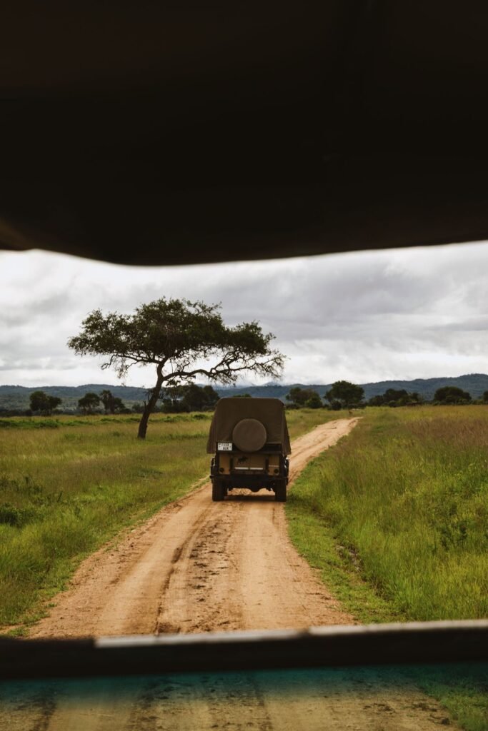 Uitzicht vanuit een safariauto op een zandweg
