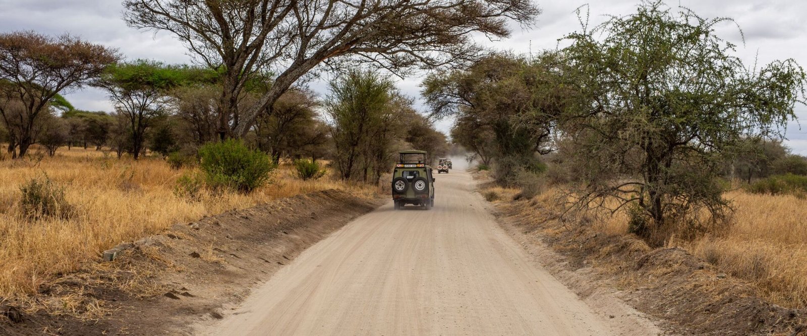 Zandweg door de savanne in Tanzania