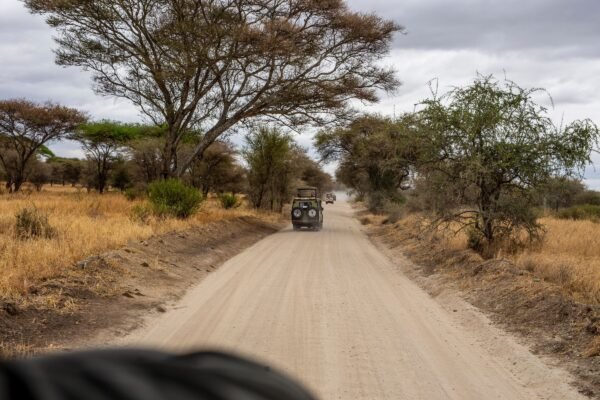 Zandweg door de savanne in Tanzania