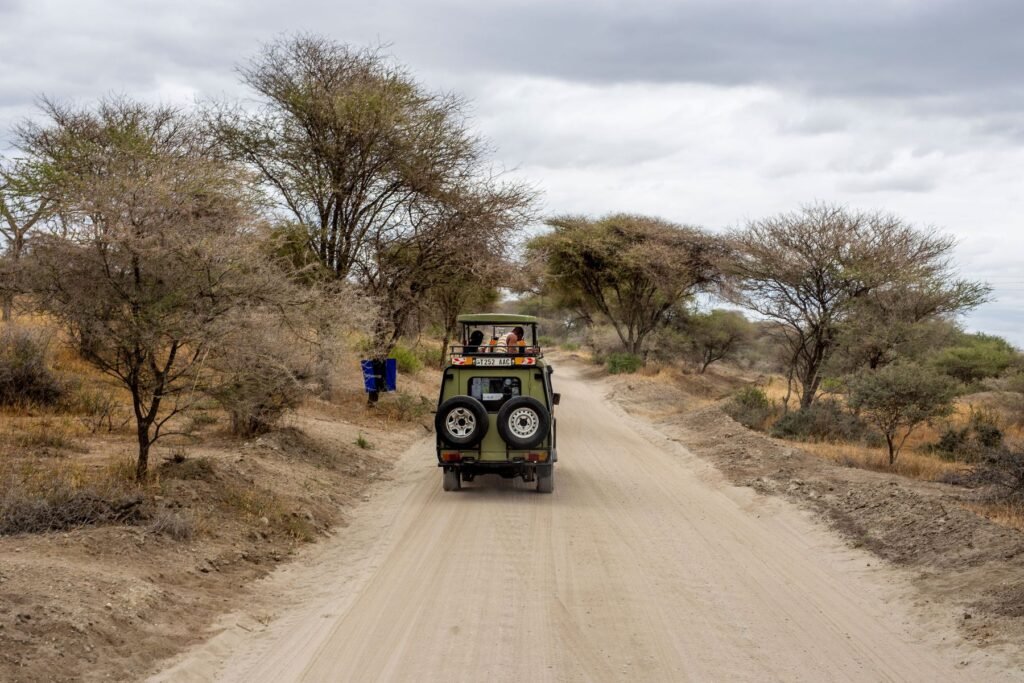 Safariauto op een zandweg tussen de acacia’s