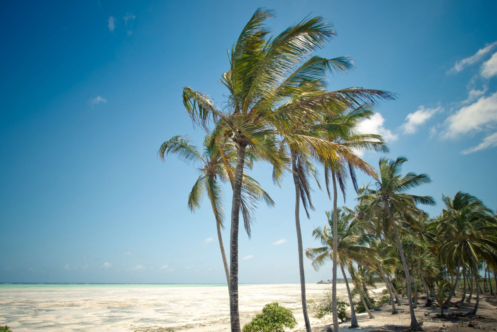 Beste reistijd Zanzibar: het weer per maand