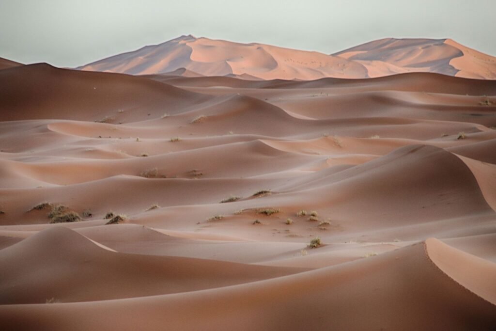 Golvende zandduinen van Erg Chebbi