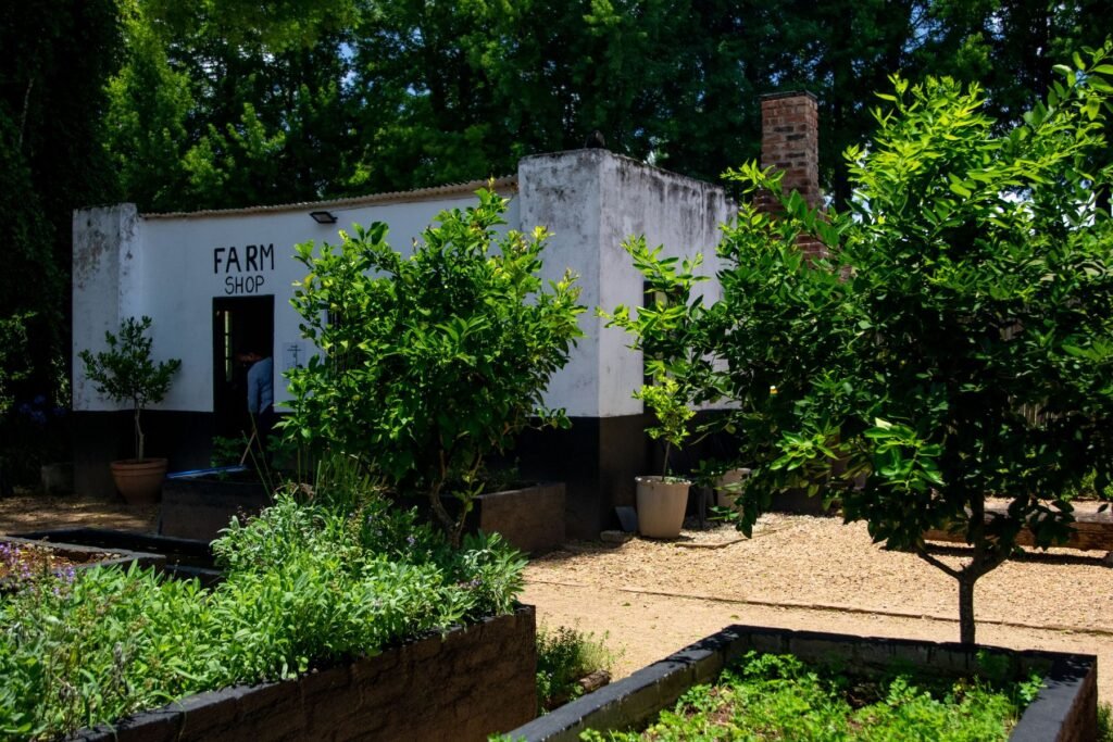 Moestuin en witte gebouwen van Babylonstoren