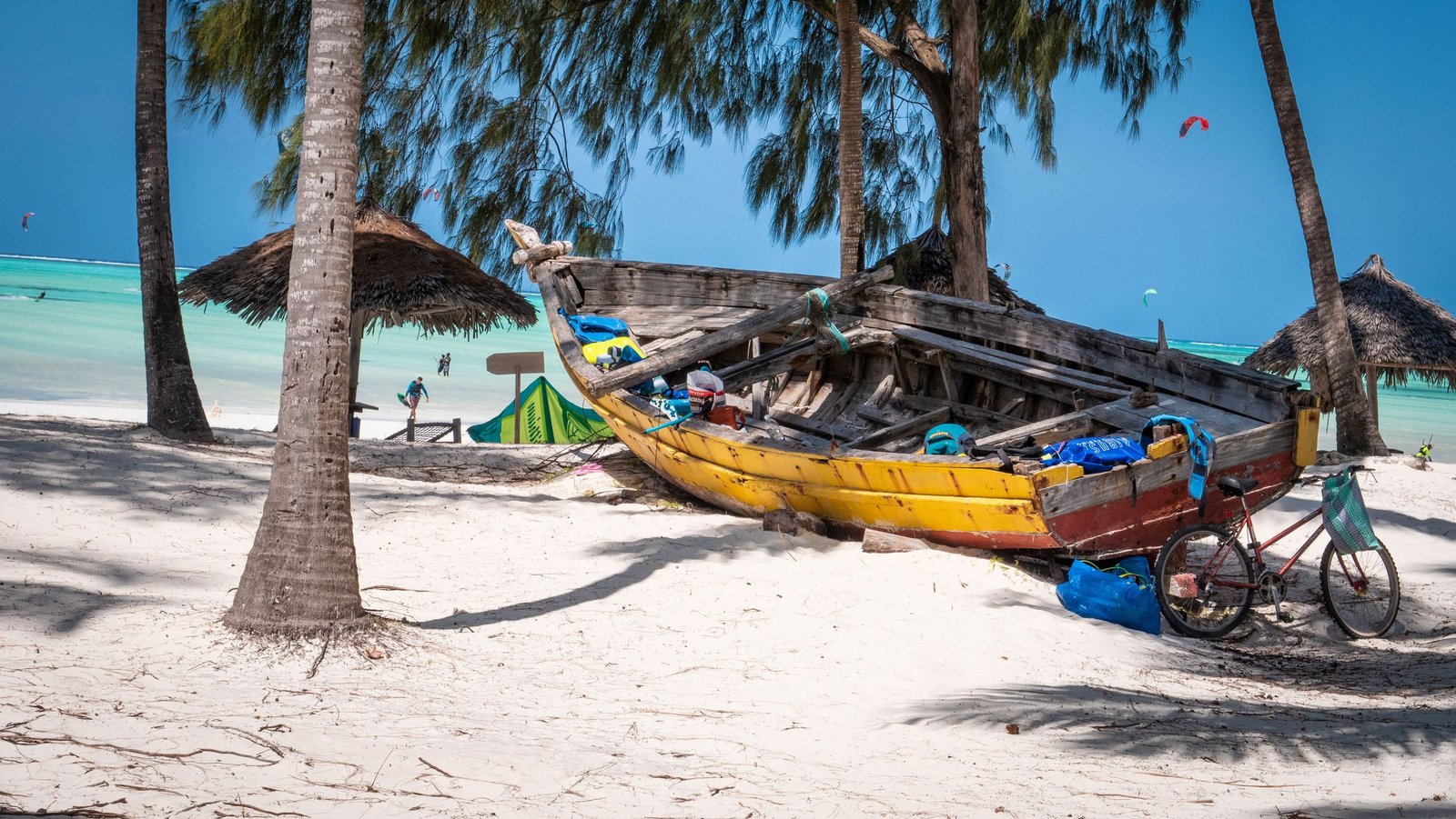 Traditionele boot onder palmbomen op een strand van Zanzibar