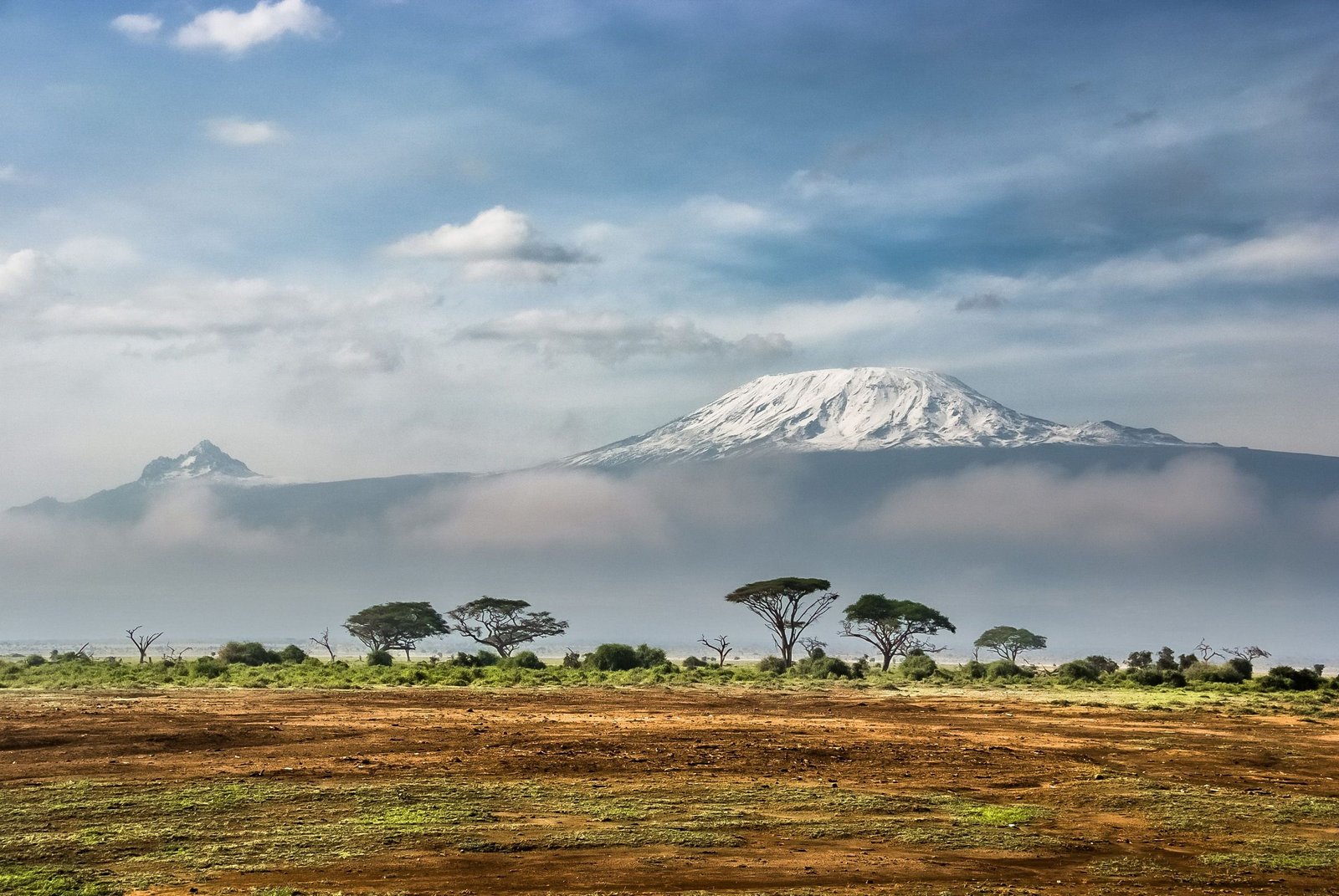 De Kilimanjaro boven de savanne met acacia’s