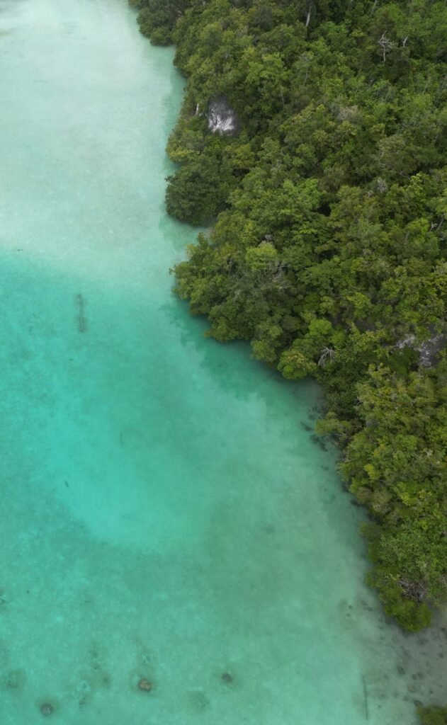 Luchtfoto van een tropische kustlijn op de Salomonseilanden