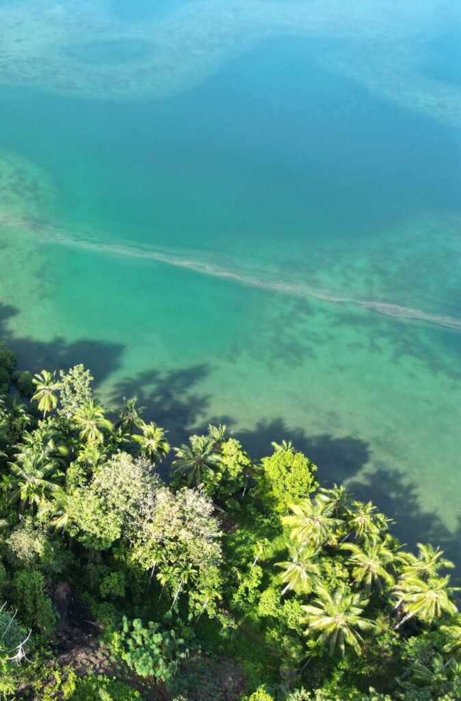 Luchtfoto van groene bomen en turquoise water op de Salomonseilanden