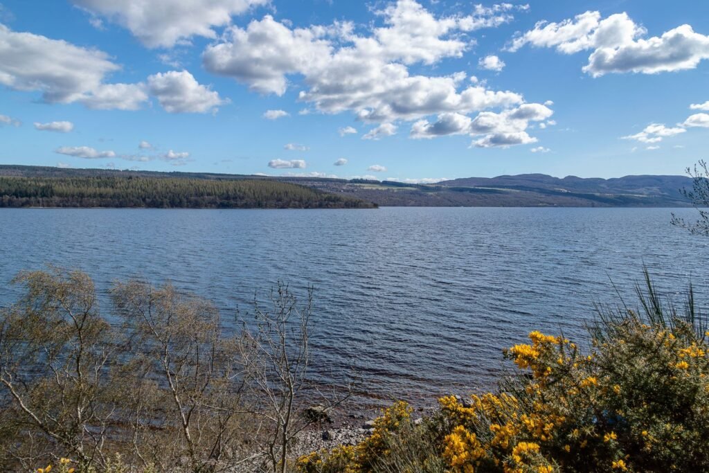 Loch Ness met gele brem